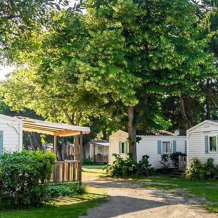Camping Les Avignon - La Laune Villeneuve-lès-Avignon Екстериор снимка