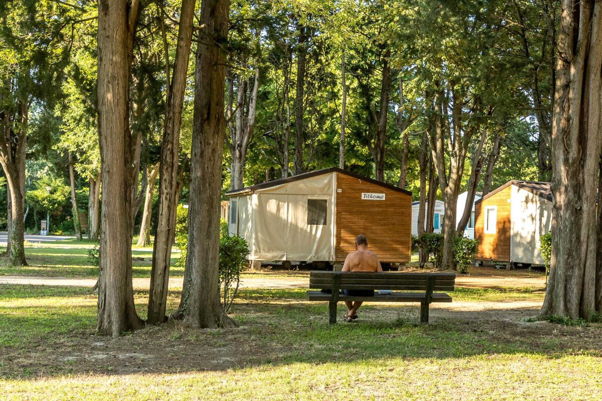 Camping Les Avignon - La Laune Villeneuve-lès-Avignon Екстериор снимка